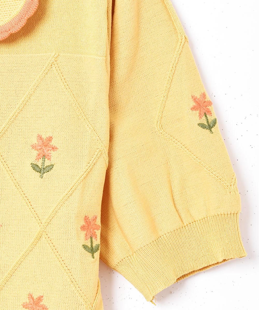 Elcaminoײֻɽ Ⱦµ˥åȥǥ󥵥ͥ