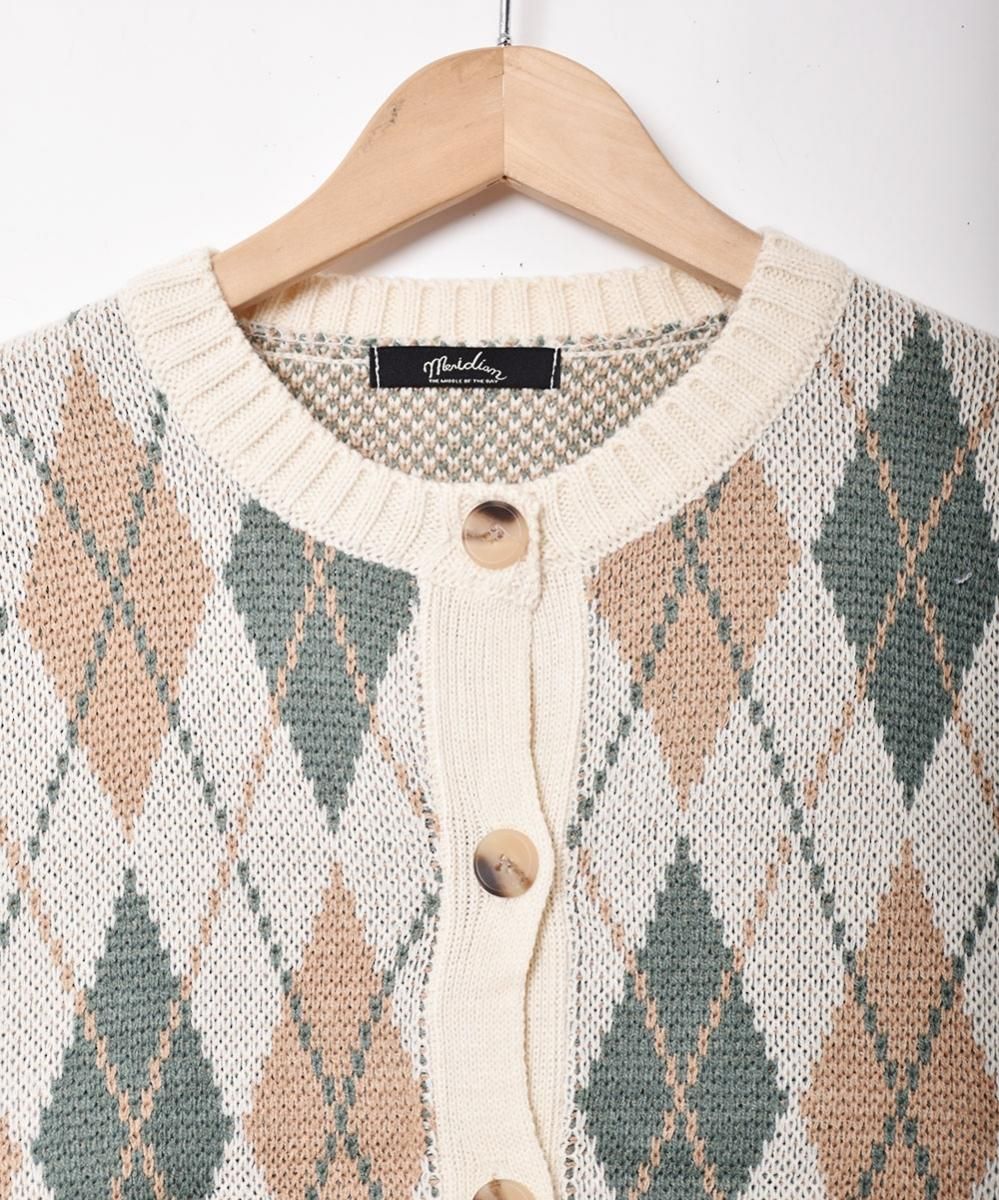 2ŸۡMeridianץ ǥ ۥ磻ȥͥ