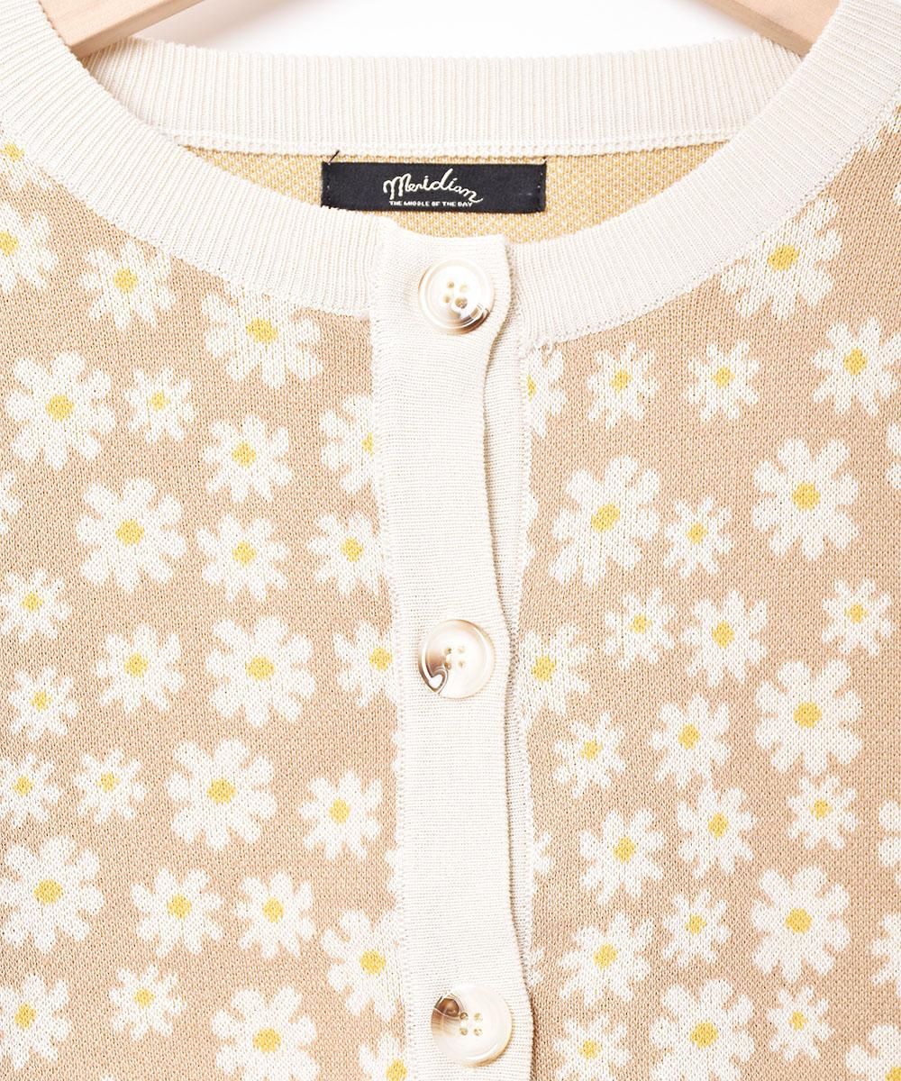 2ŸۡMeridianץե ǥ ١奵ͥ