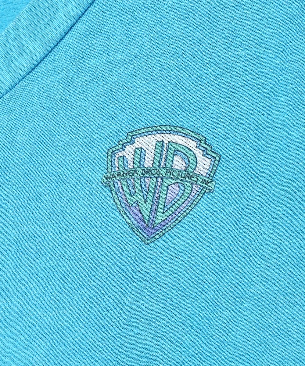 WARNER BROS PICTURES INC. ץ åȥĥͥ