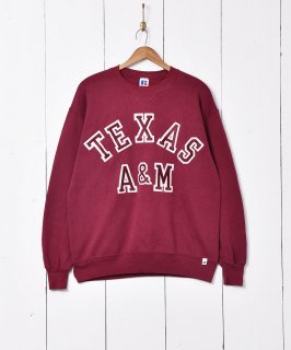  ꥫ Texas A&M åå Υͥå 岰졼ץե롼 ࡼ