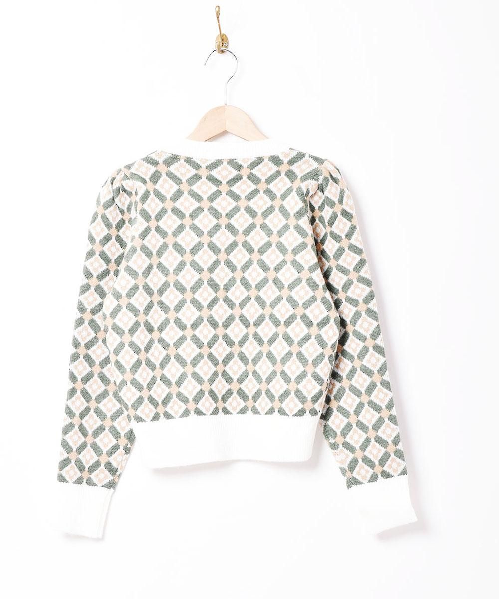 2ŸۡMeridianץѥե꡼  ꡼󥵥ͥ