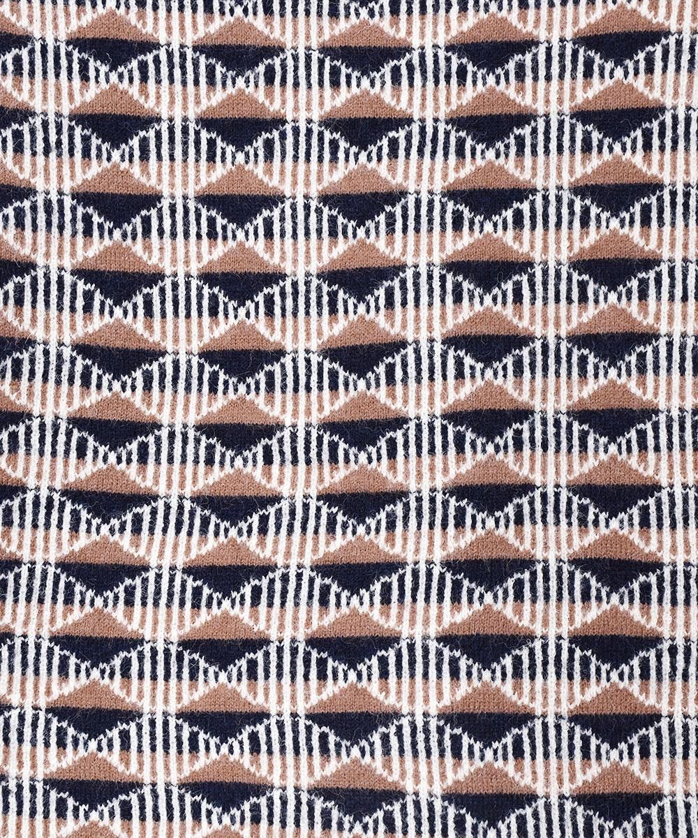 2ŸۡMeridian״ ǥ ١奵ͥ