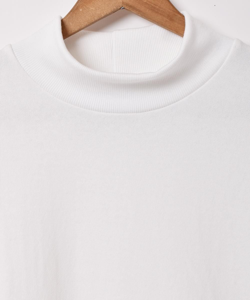 4Ÿۥϥͥå åȥ ۥ磻ȥͥ