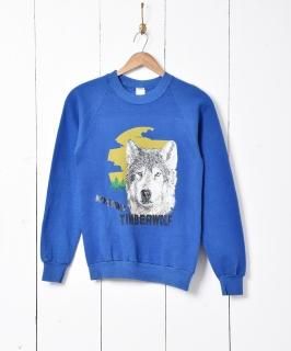 奢ꥫ ˥ޥץȥå Υͥå 岰졼ץե롼 ࡼ