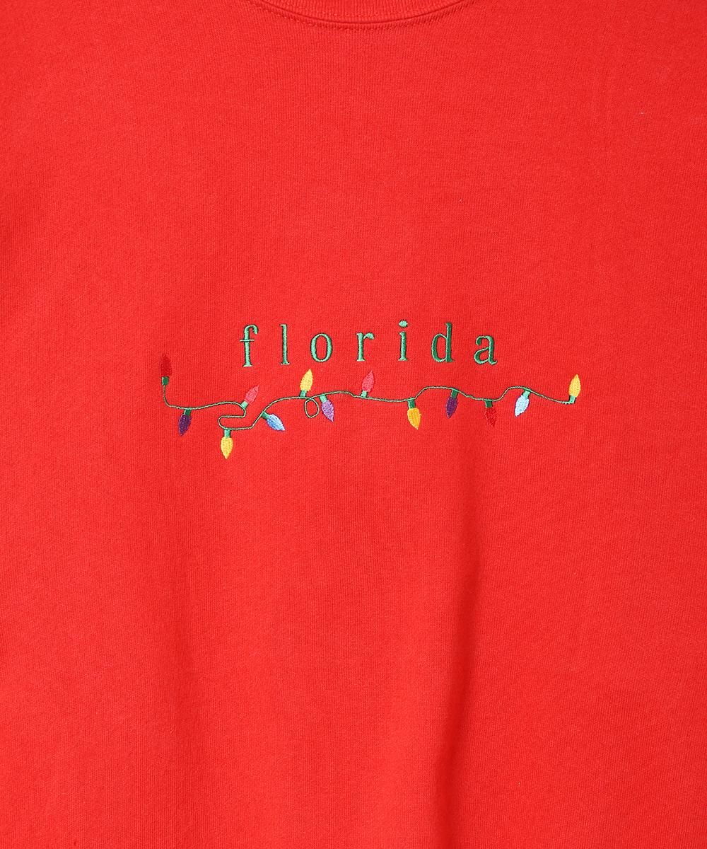 ꥫ floridaɽ åȥĥͥ