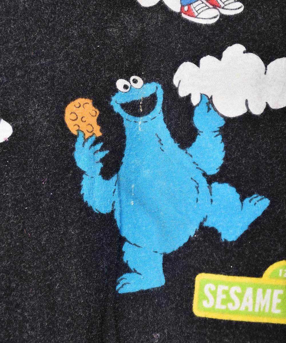SESAMI STREET  ѥޥѥĥͥ