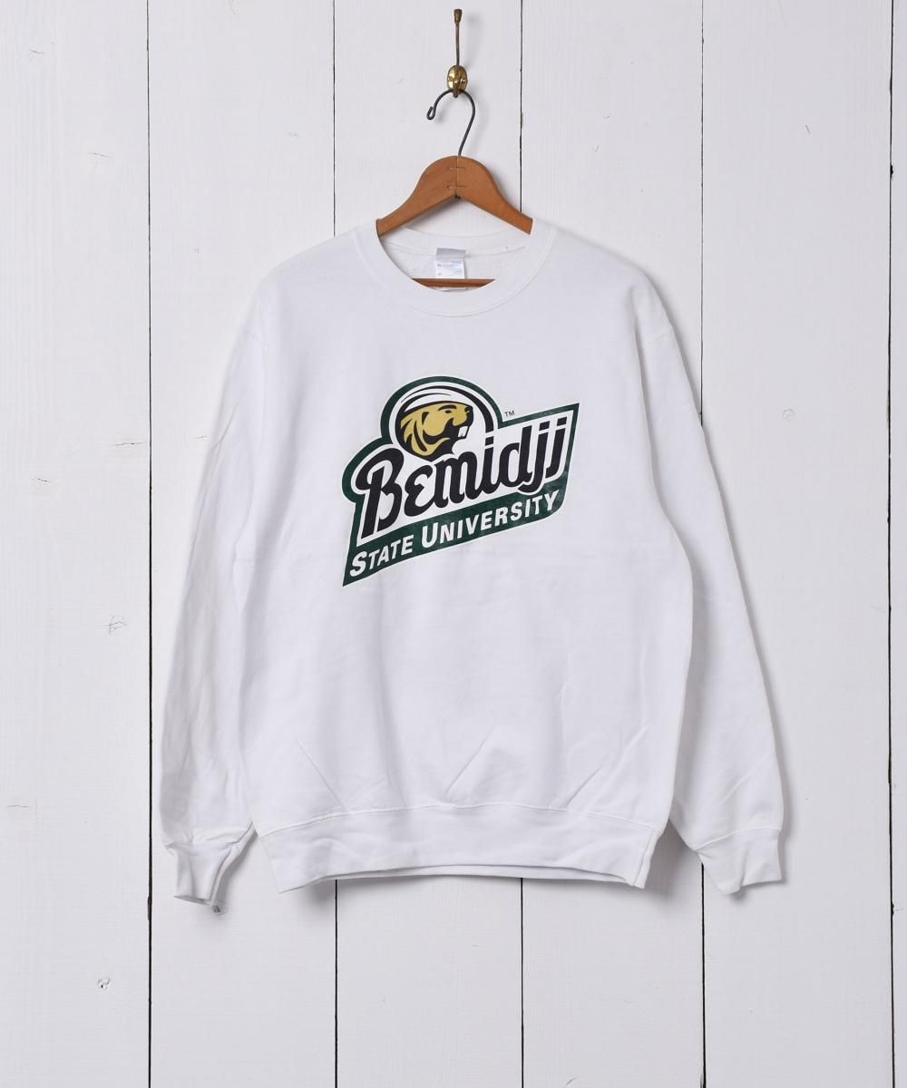  Bemidji STATE UNIVERSITY åȥ  ͥå  岰졼ץե롼 ࡼ