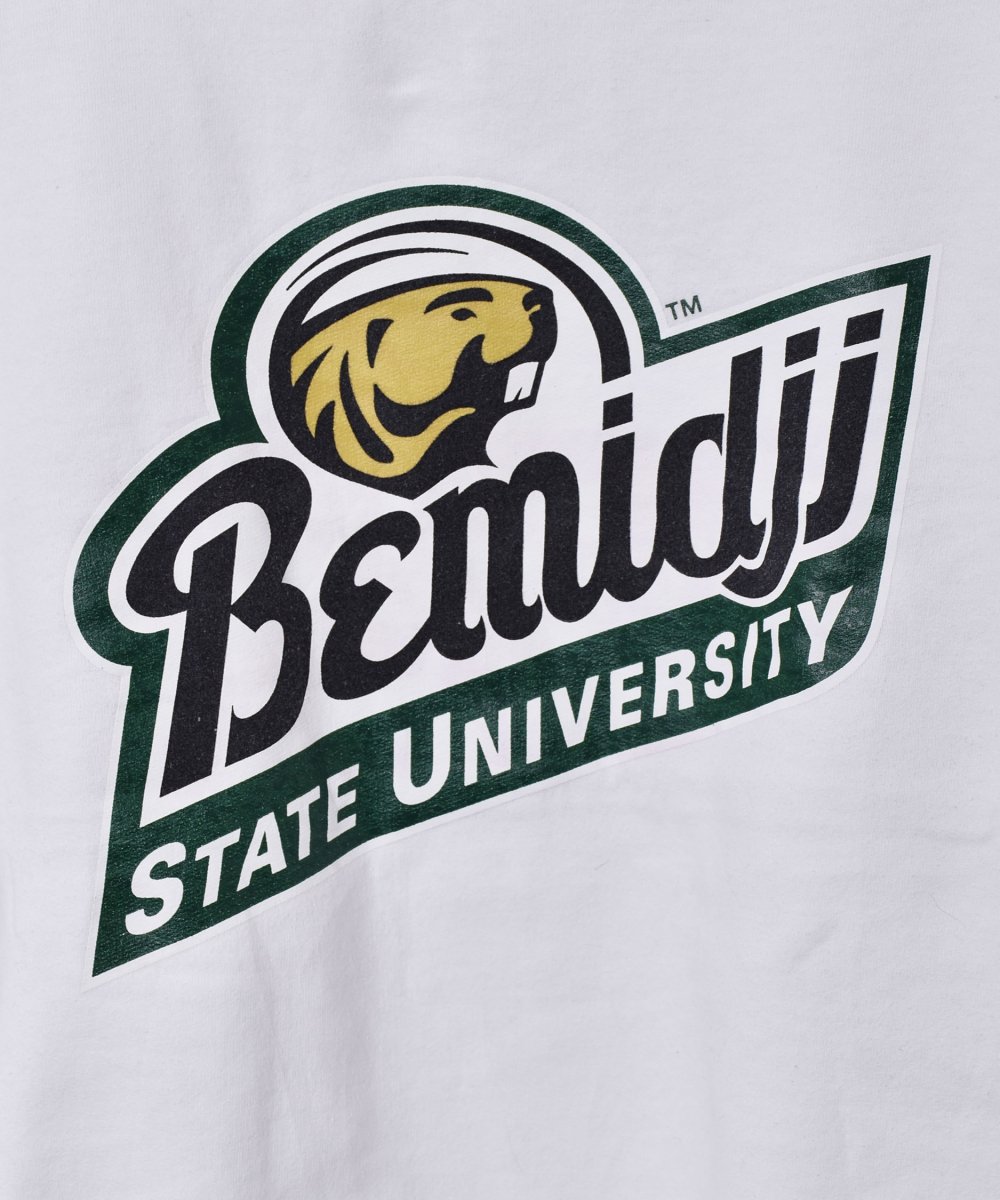 Bemidji STATE UNIVERSITY åȥĥͥ