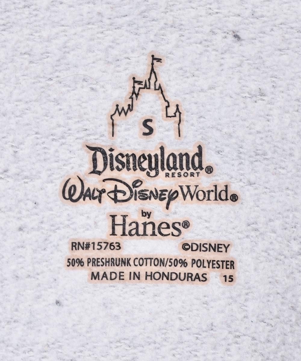  DISNEYLANDO RESOAT åȥĥͥ