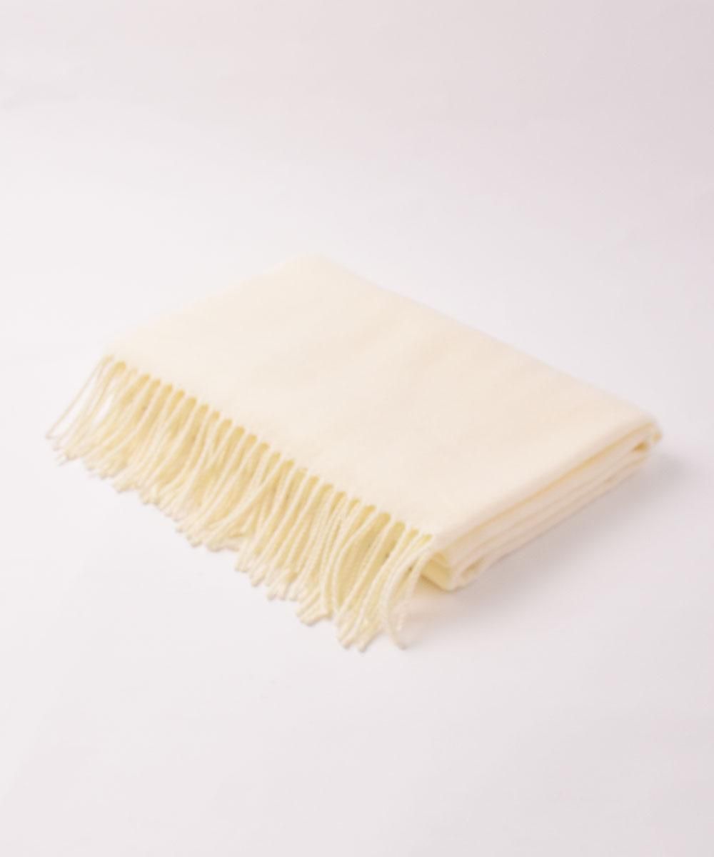 8ŸȽ ץ졼󥹥ȡ 磻åɥͥ