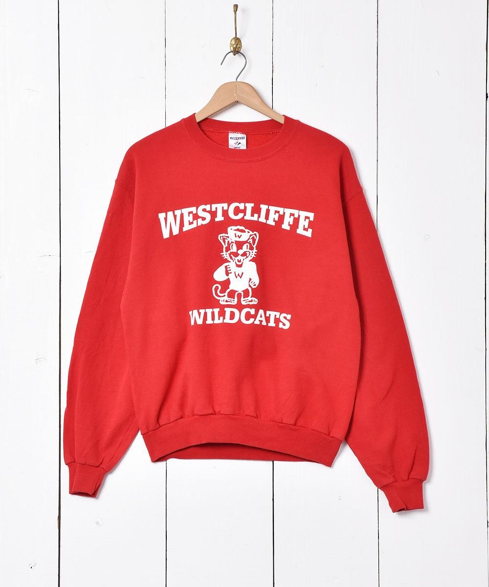  ץȥåȥ  ͥå  岰졼ץե롼 ࡼ