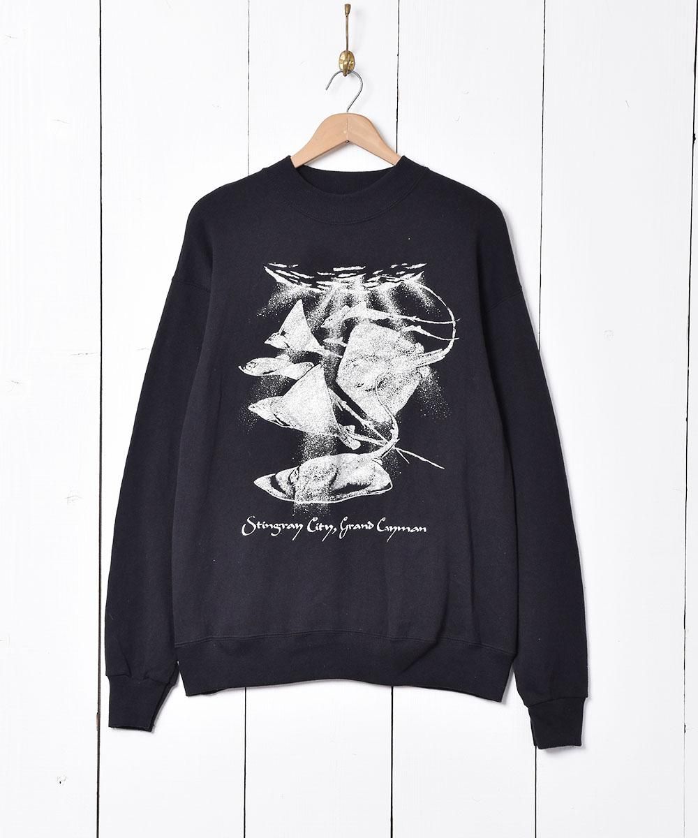  ꥫ ץȥåȥ  ͥå  岰졼ץե롼 ࡼ