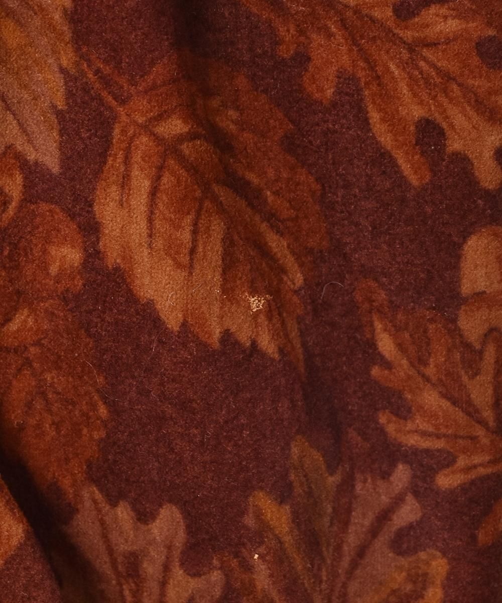 ꥢ Ĺµ ꡼եǥ ڥץȥåץͥ