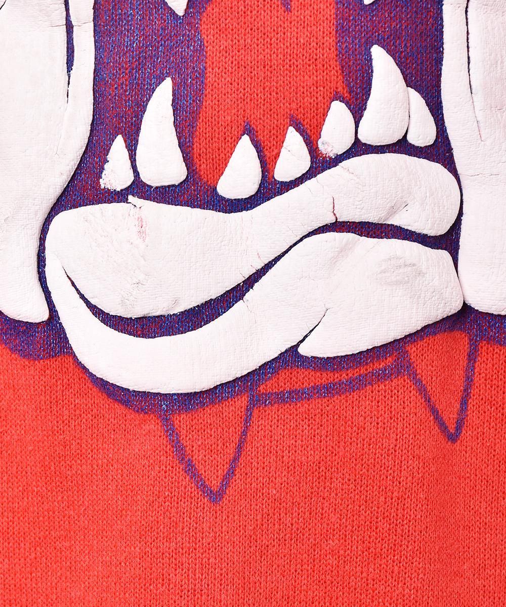 FRESNO STATE åץȥåȥͥ