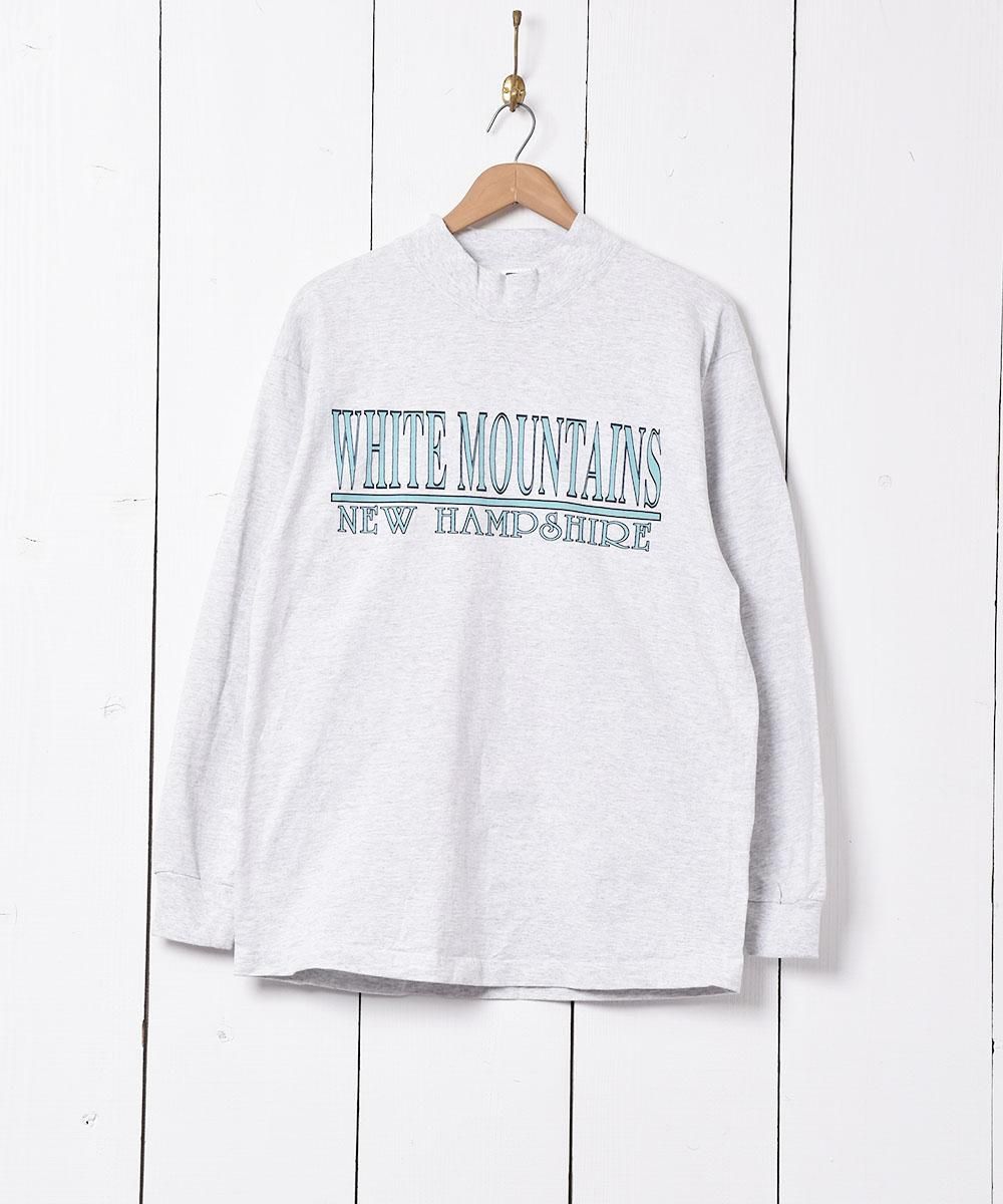  ꥫ ץ ĹµT  ͥå  岰졼ץե롼 ࡼ