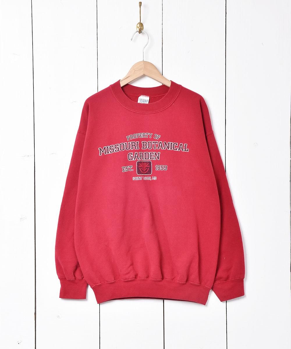  ץ åȥ  ͥå  岰졼ץե롼 ࡼ