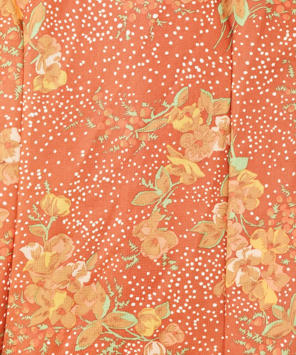 70's  ץ󥫥顼 Ĺµĥͥ