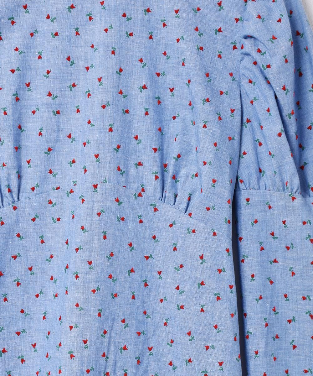  ɥ顼 ѥե꡼ Ĺµԡͥ