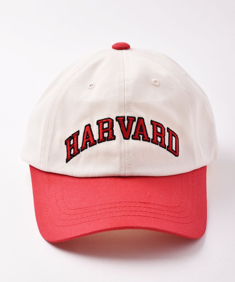 2Ÿۥ١ܡ륭å HARVARD åɥͥ