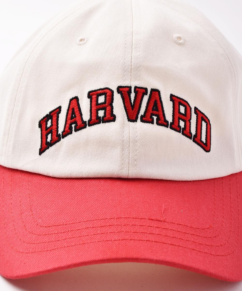 2Ÿۥ١ܡ륭å HARVARD åɥͥ