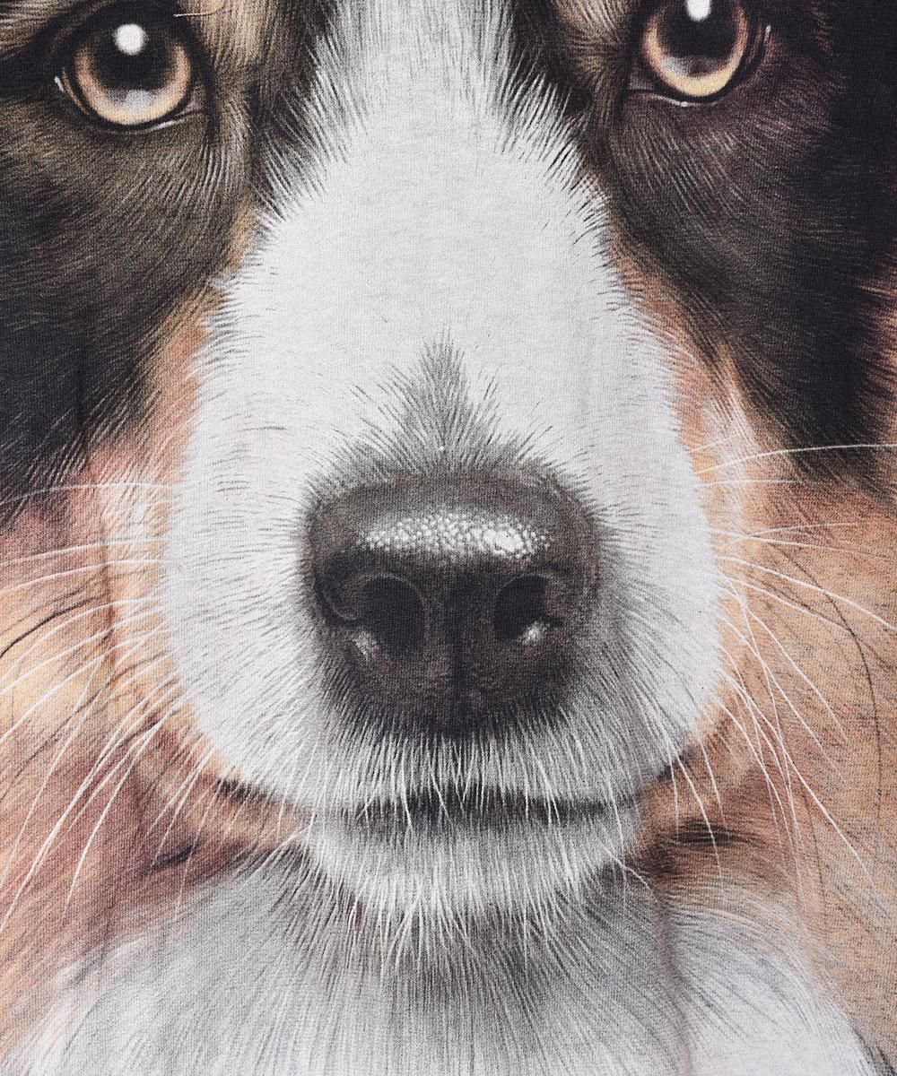 The Mountain  ɥåץTĥͥ