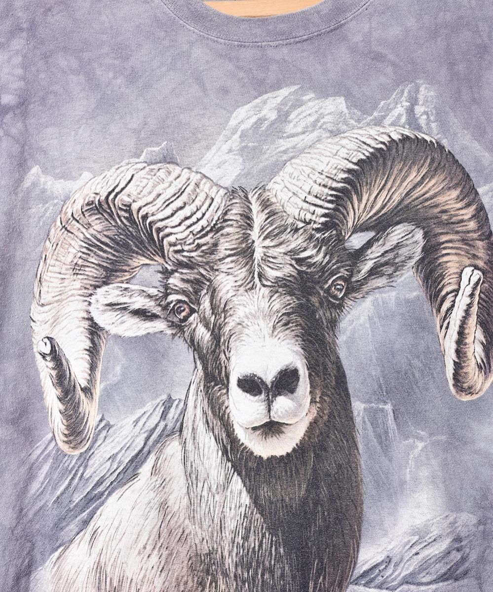 The Mountain  ˥ޥץTĥͥ