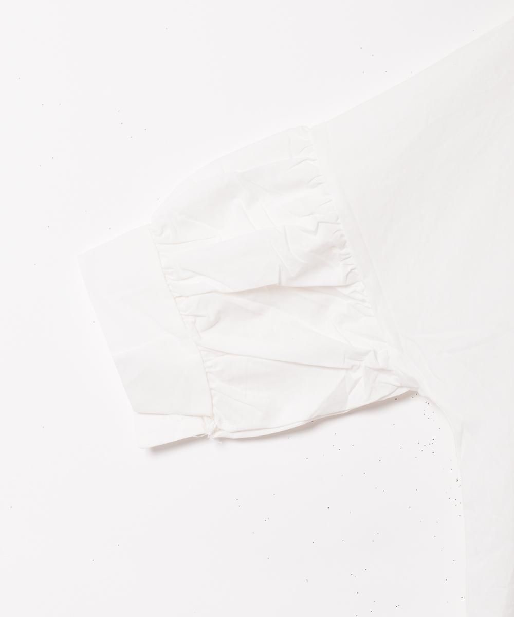 2ŸۡMeridian׸ʬµ ƥɥԡ ۥ磻ȥͥ