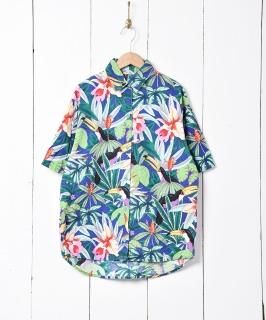   Υͥå 岰졼ץե롼 ࡼ