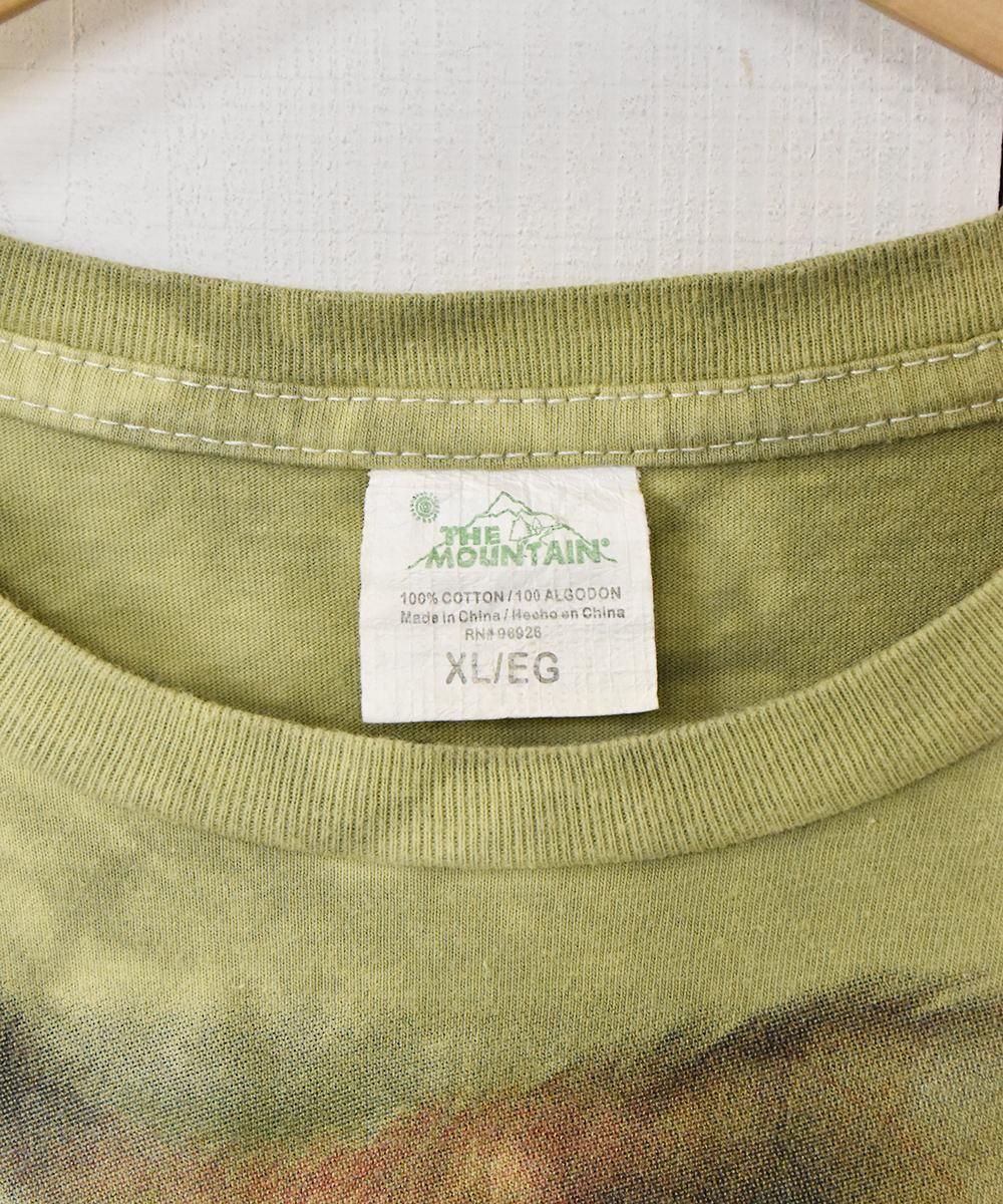 THE MOUNTAIN ߥץ Tĥͥ