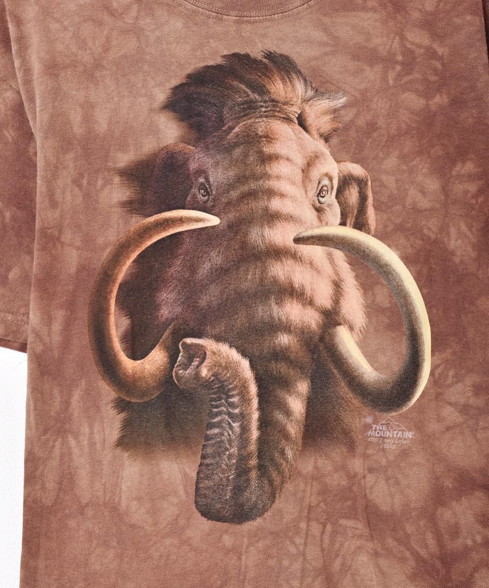 ꥫ THE MOUNTAIN ޥ⥹ץ Tĥͥ