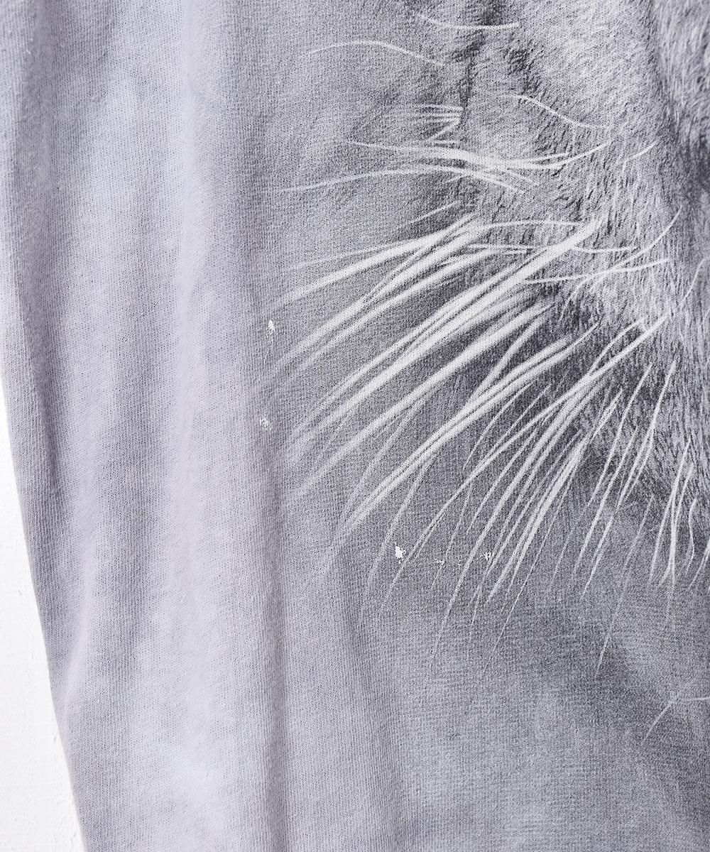 ꥫ THE MOUNTAIN ץ Tĥͥ