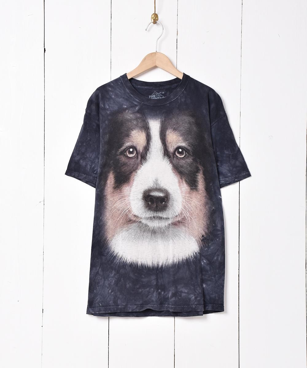  THE MOUNTAIN ɥåץ T  ͥå  岰졼ץե롼 ࡼ