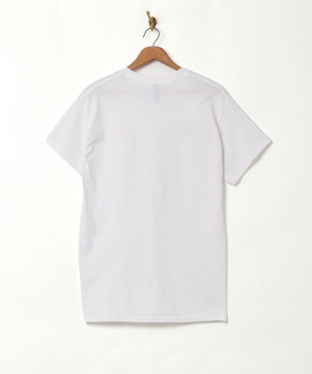 2Ÿۥ٥ȥʥT ۥ磻ȥͥ