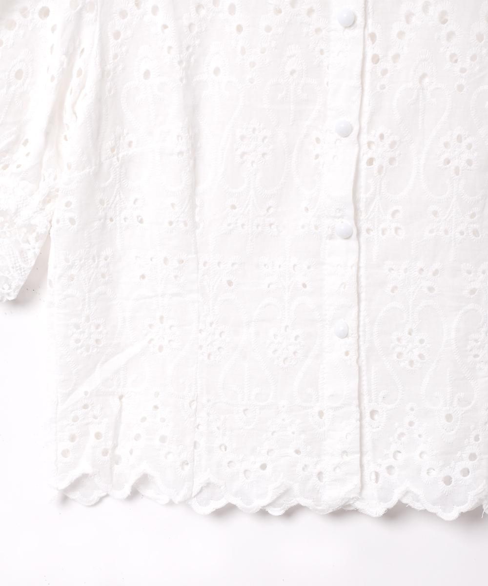 2ŸۡMeridianץåȥ졼 Ⱦµ֥饦 ۥ磻ȥͥ