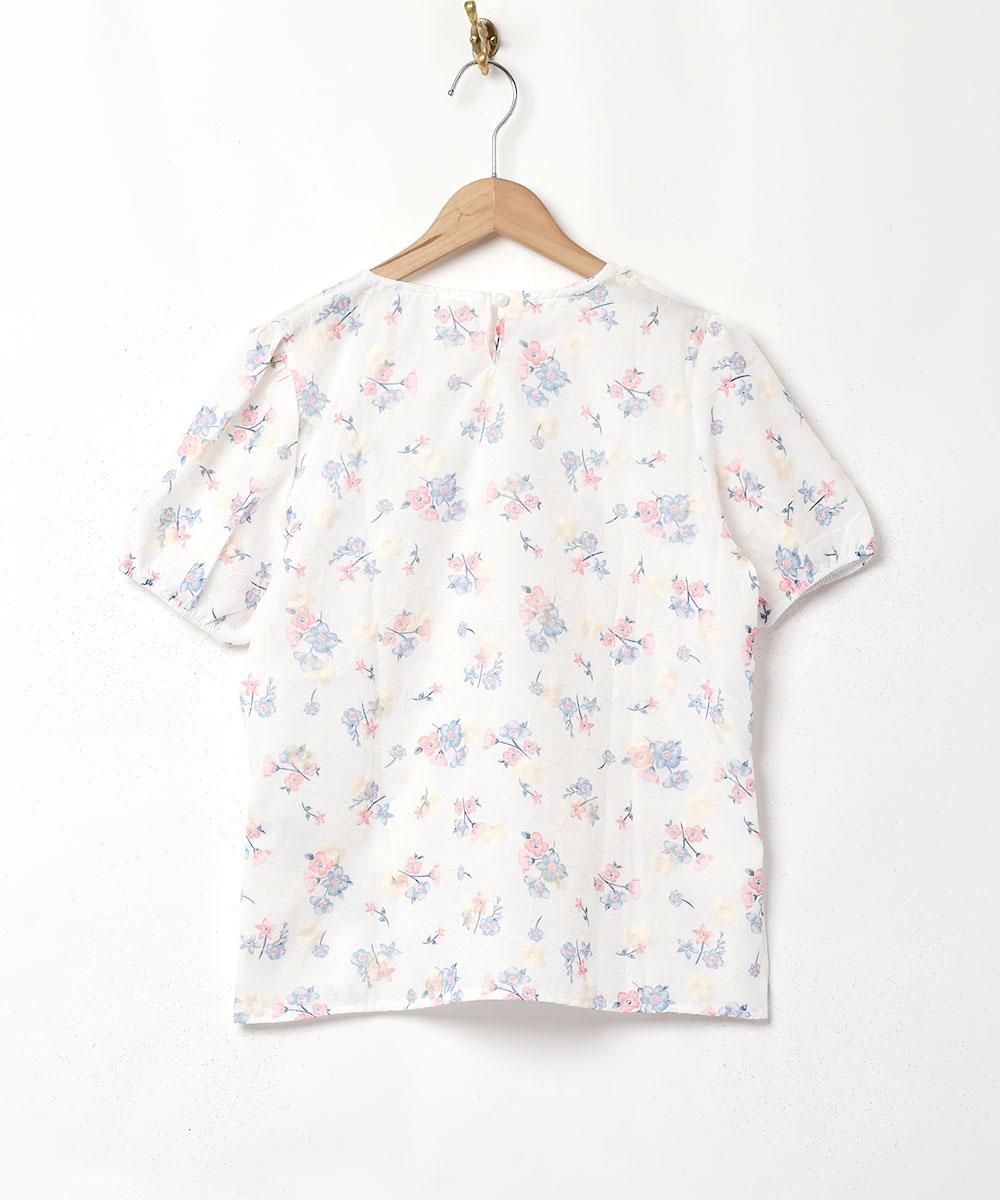 2ŸۡMeridianץեɽ ѥե꡼ Ⱦµ֥饦 ֥롼ͥ