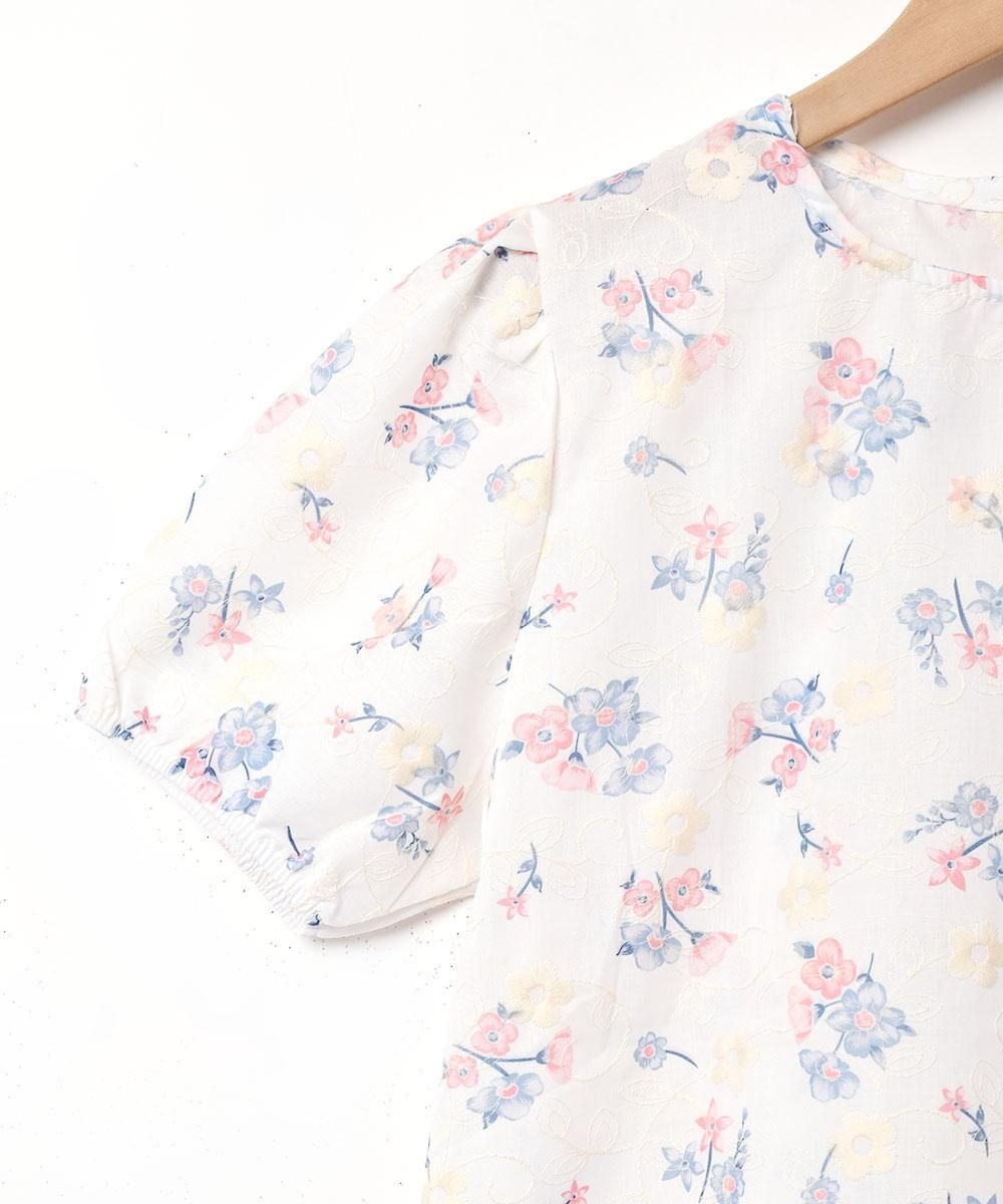 2ŸۡMeridianץեɽ ѥե꡼ Ⱦµ֥饦 ֥롼ͥ