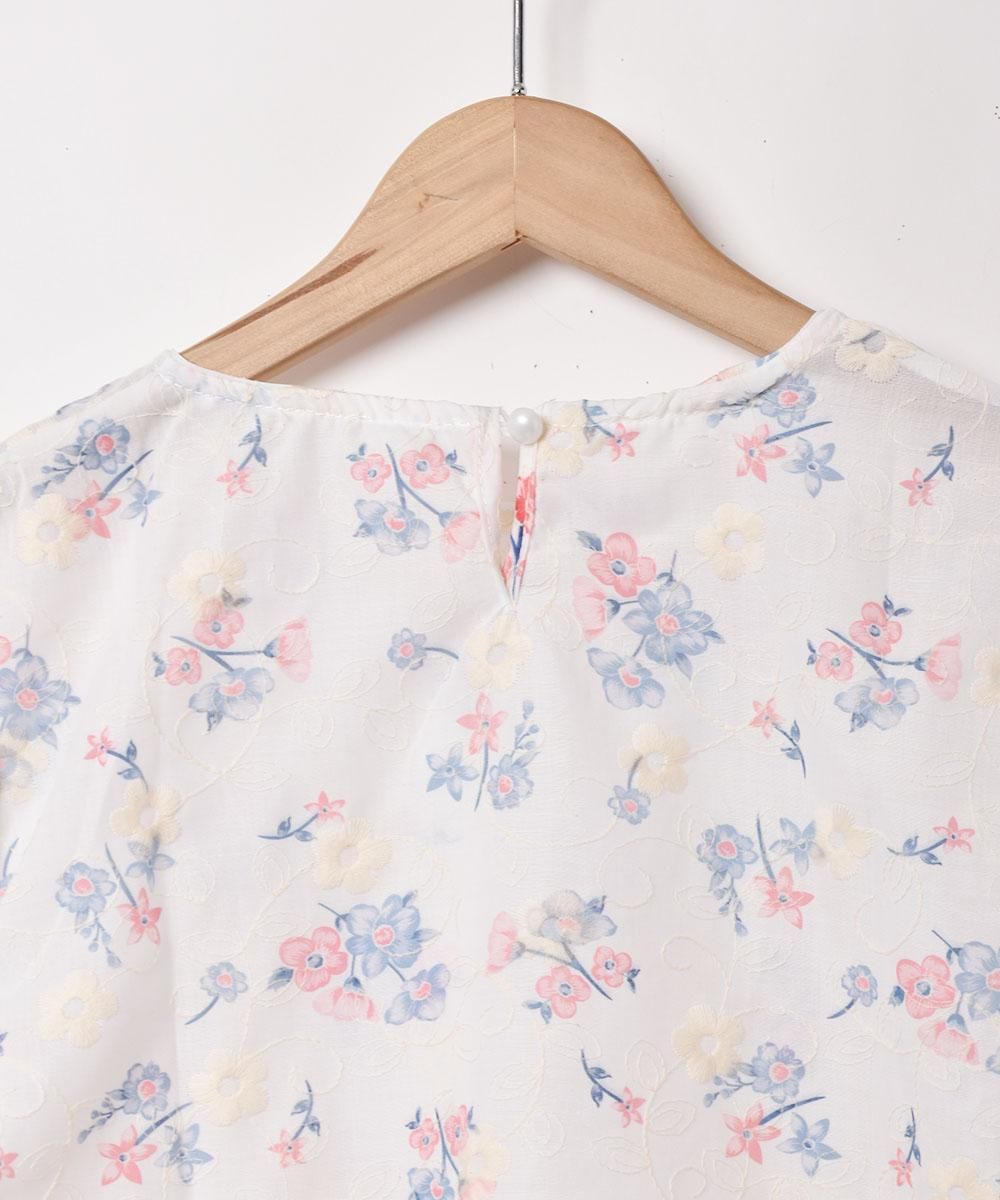 2ŸۡMeridianץեɽ ѥե꡼ Ⱦµ֥饦 ֥롼ͥ