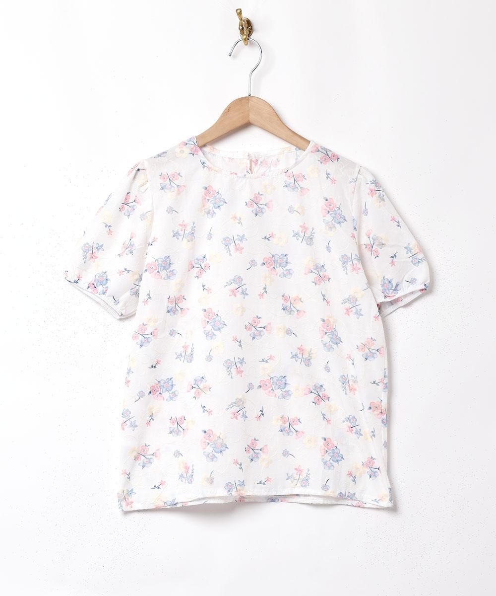 2ŸۡMeridianץեɽ ѥե꡼ Ⱦµ֥饦 ꡼󥵥ͥ