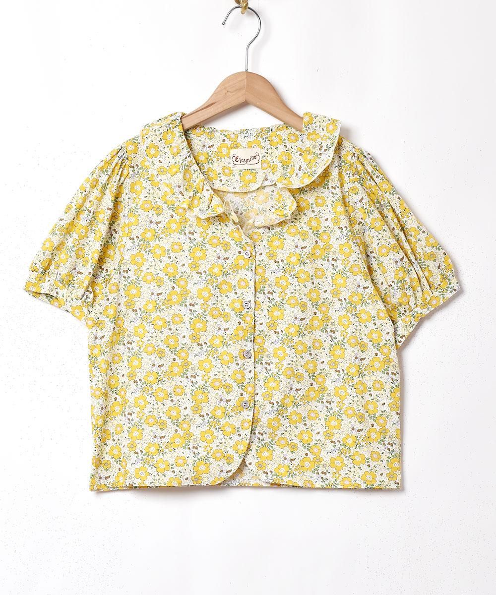 2ŸۡElcaminoץե륫顼 Ⱦµ֥饦 ֥롼ͥ