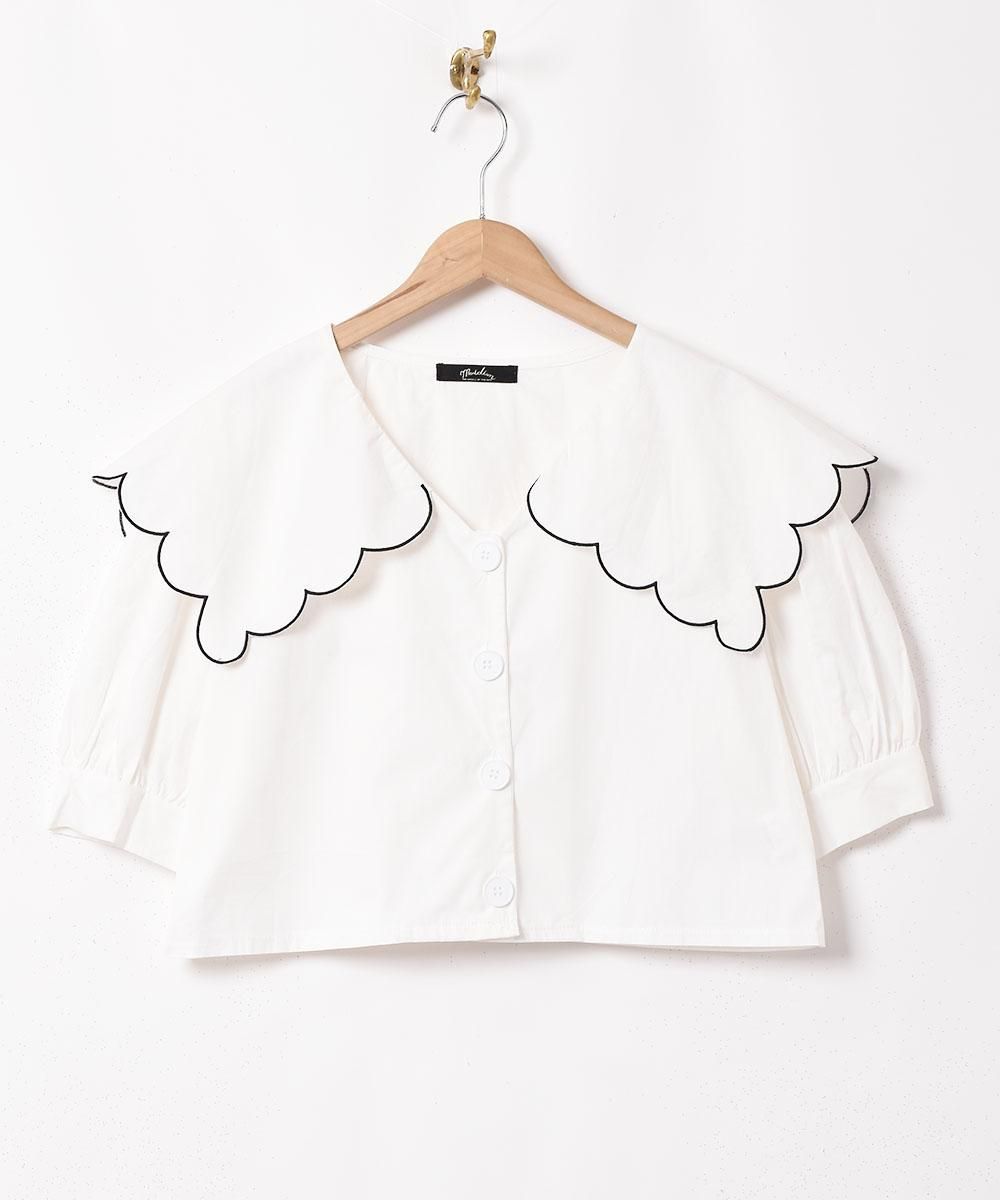 2ŸۡMeridianץӥå顼 Ⱦµ֥饦 ֥åͥ