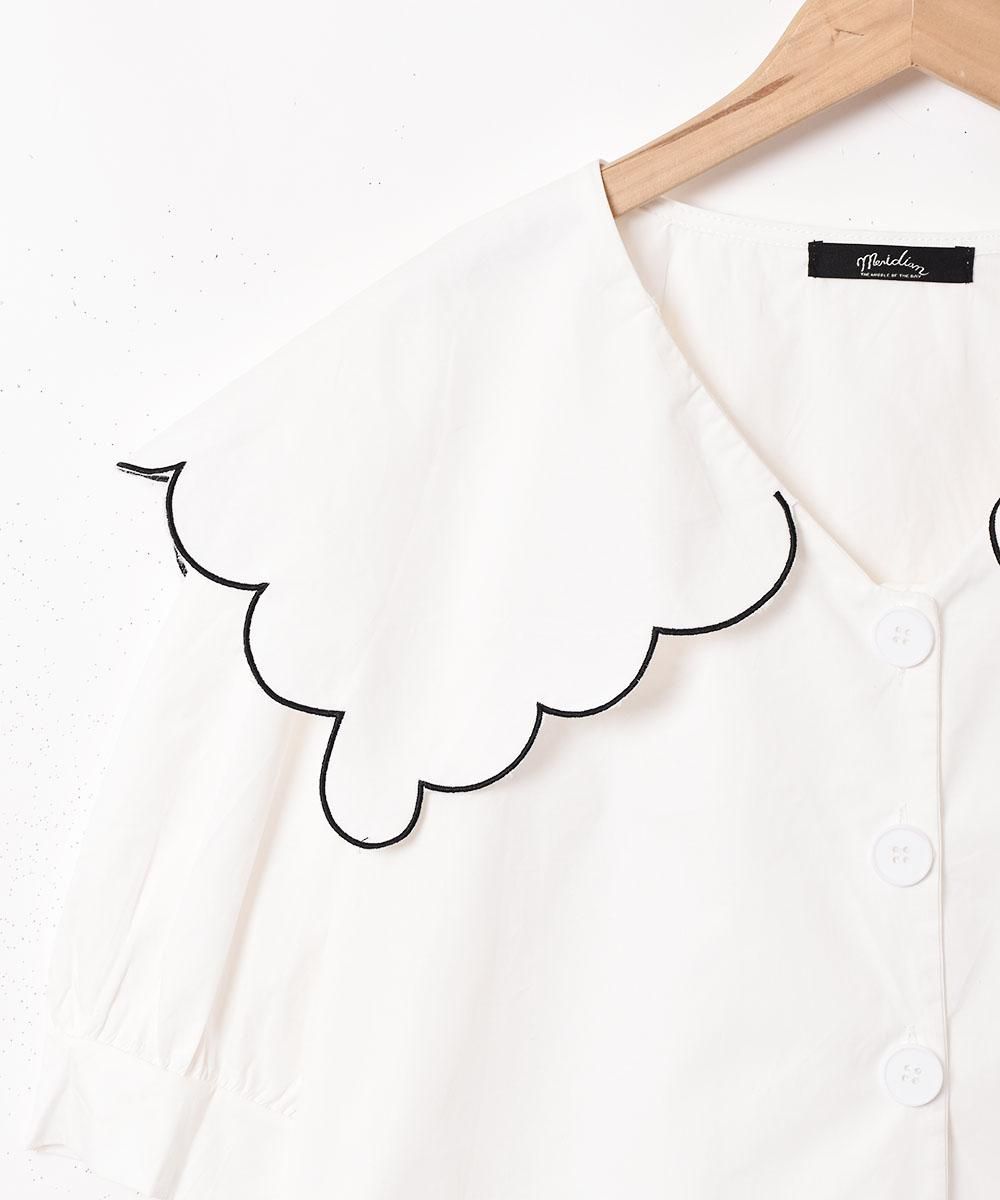 2ŸۡMeridianץӥå顼 Ⱦµ֥饦 ۥ磻ȥͥ