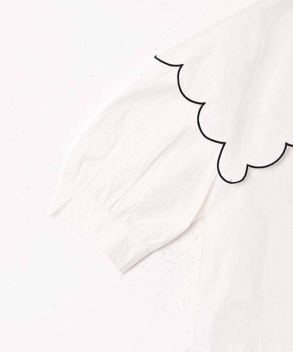 2ŸۡMeridianץӥå顼 Ⱦµ֥饦 ۥ磻ȥͥ