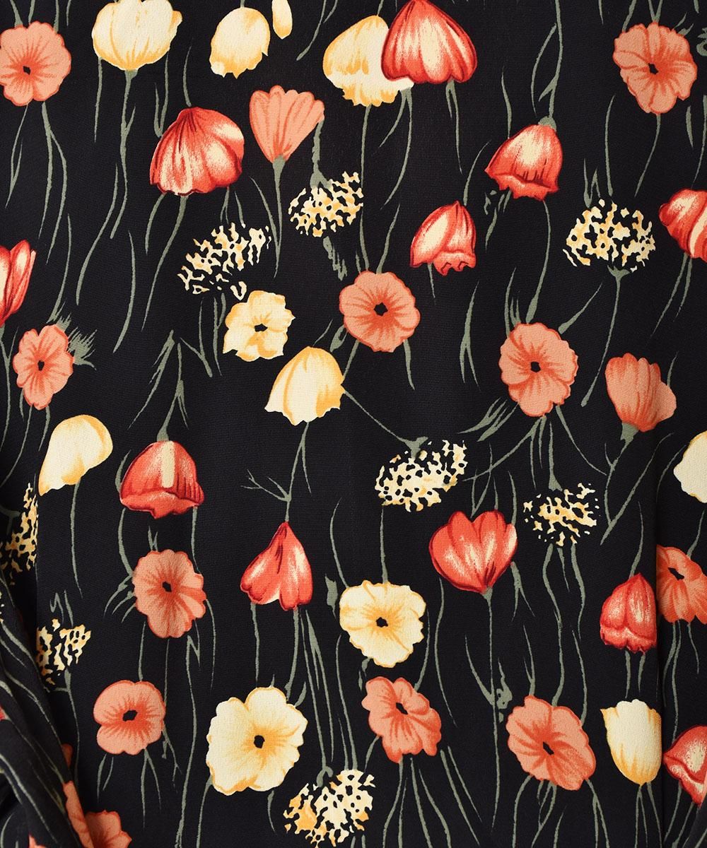 ꥫ  ץ󥫥顼 Ⱦµԡͥ