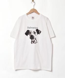 ᥷ץT Υͥå 岰졼ץե롼 ࡼ