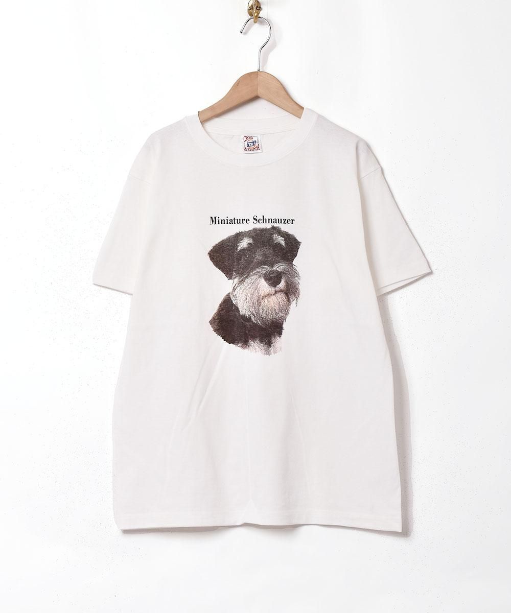 ザ・ビューティフル・サウス ツアーTシャツ M ベージュ ヘビーウェイトカレッジTシャツ｜メンズファッション通販 MEN'S