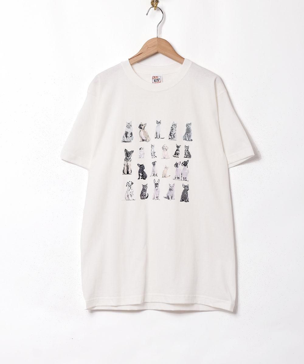 3Ÿۥɥå&å ץT ١奵ͥ