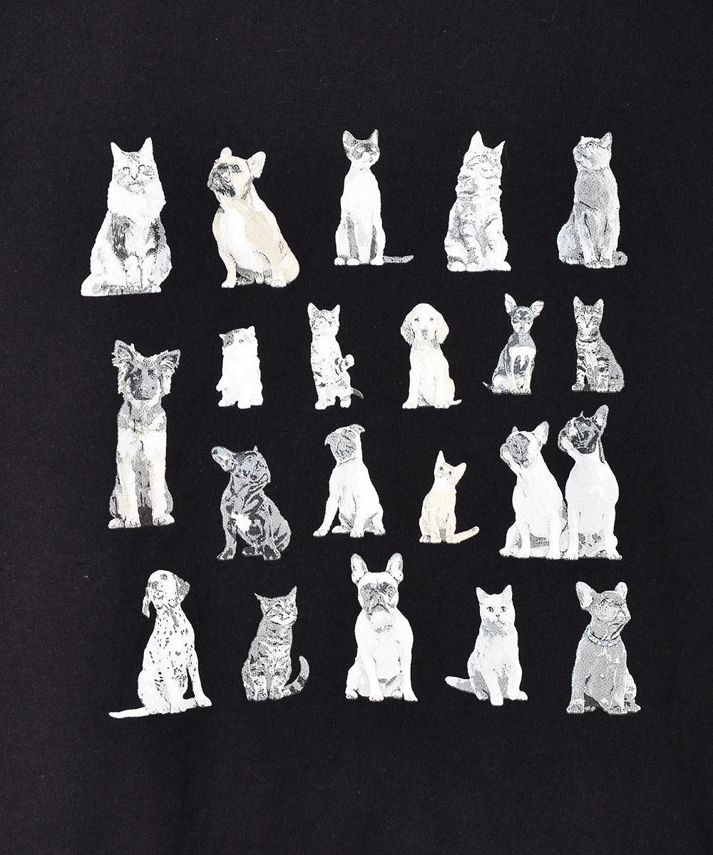 3Ÿۥɥå&å ץT ֥åͥ