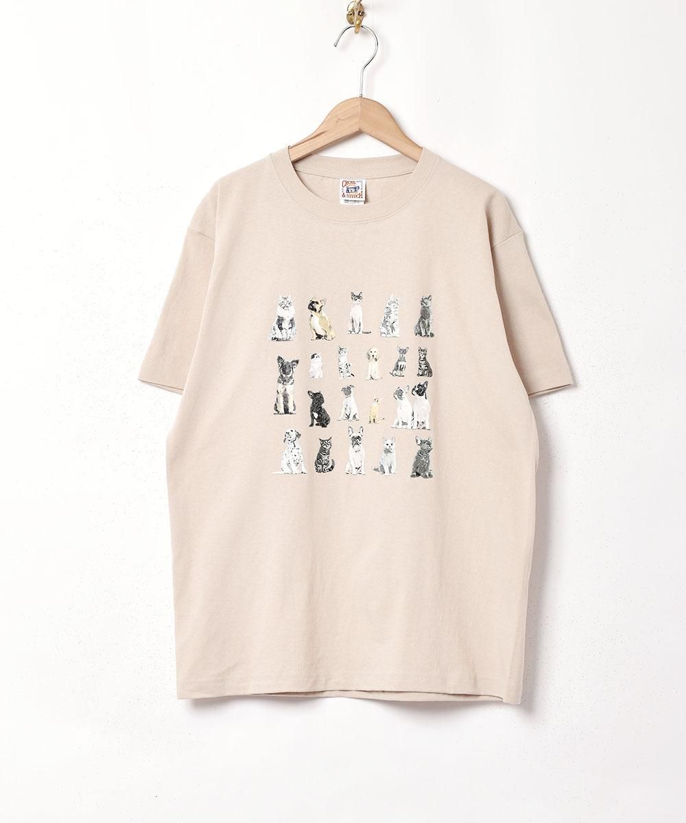 3Ÿۥɥå&å ץT ֥åͥ