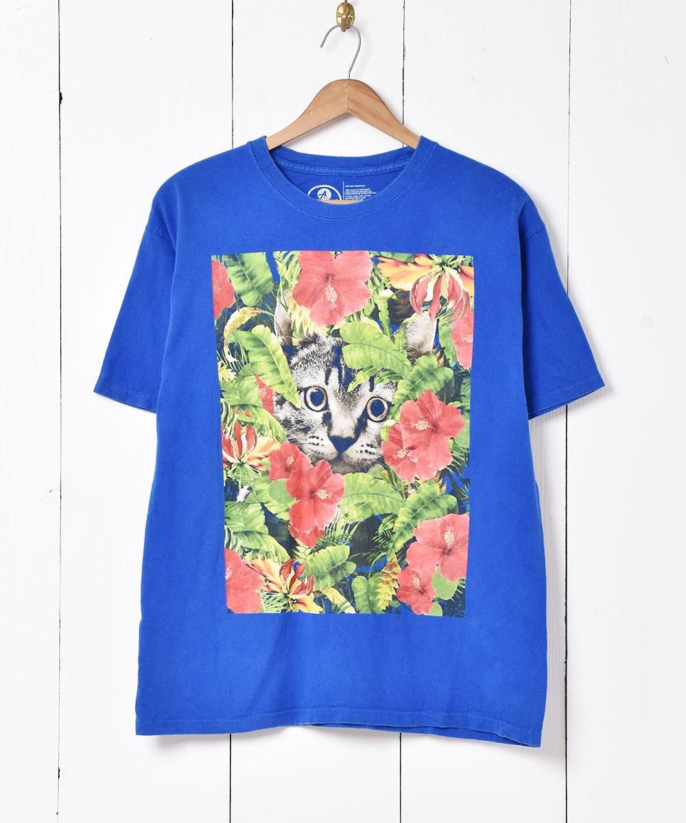  ˥ޥ ץT  ͥå  岰졼ץե롼 ࡼ